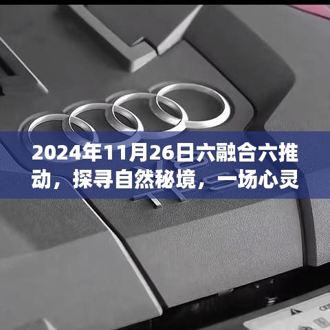 公司简介 第231页