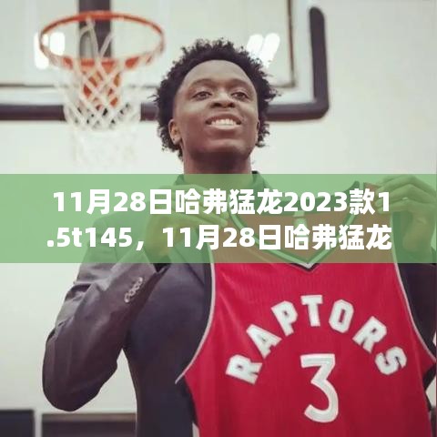 运输网络 第221页