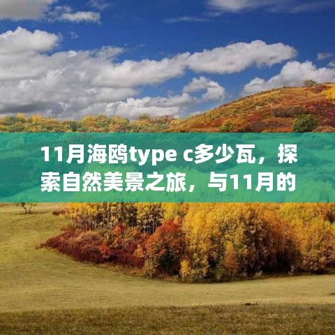 射飞逐走 第3页