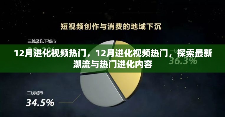 公司简介 第219页