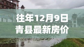 鸟为食亡 第3页