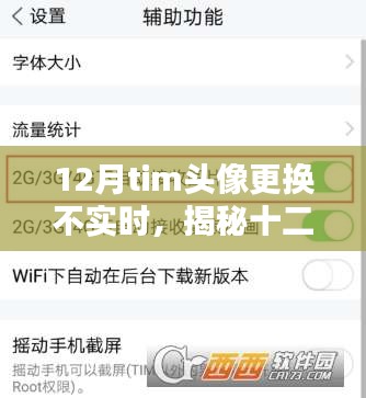 惊弓之鸟 第3页
