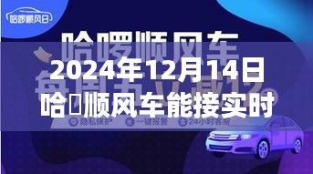哈啰顺风车未来能否接实时单，2024年预测与探讨
