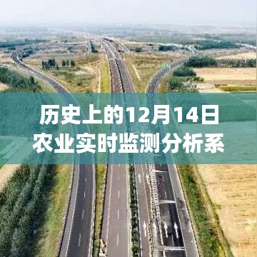 国色天香 第3页