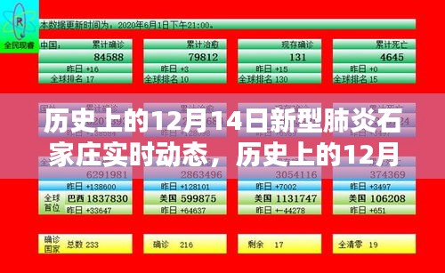 一言九鼎 第3页