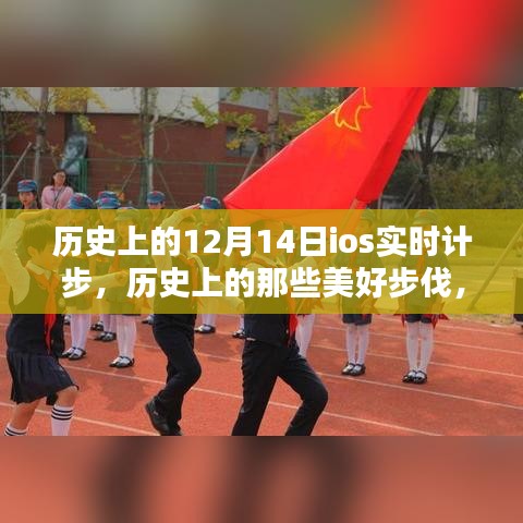 还醇返朴 第3页