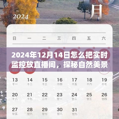 一枝独秀 第3页