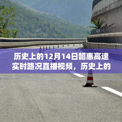 目不转睛 第3页