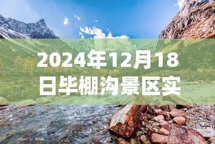 半截鸟木 第3页