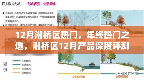 反朴还淳 第3页