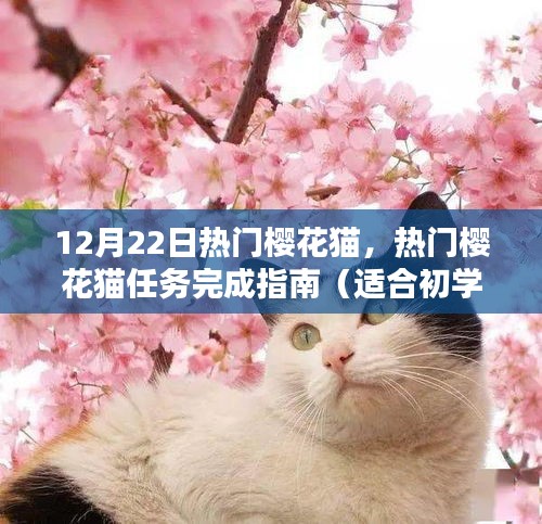 运输网络 第147页