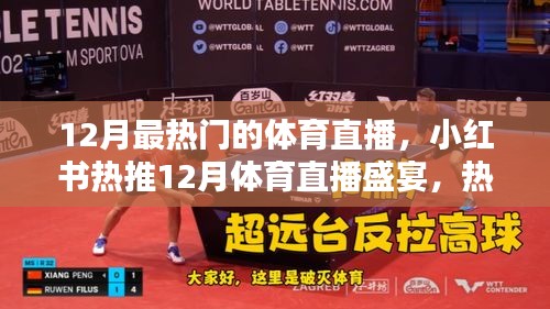 小红书热推！12月体育直播盛宴狂欢夜