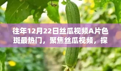 伸手不见五指 第2页