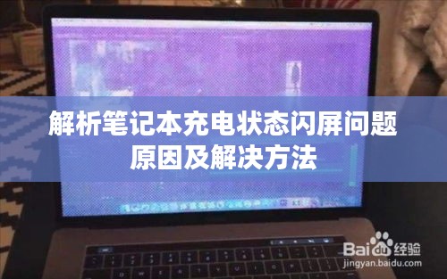 百不得一 第3页