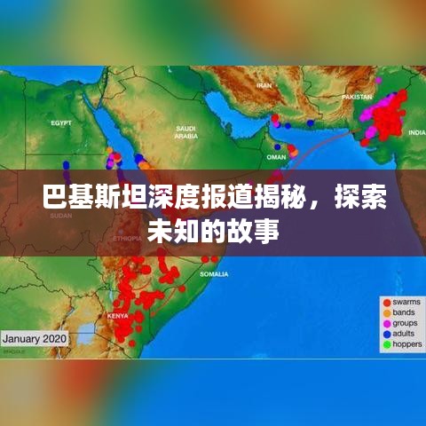 张三李四 第2页