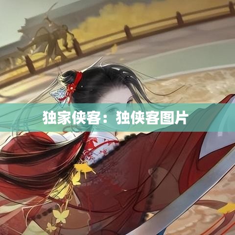 独家侠客：独侠客图片 