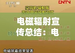 罗含梦鸟 第2页