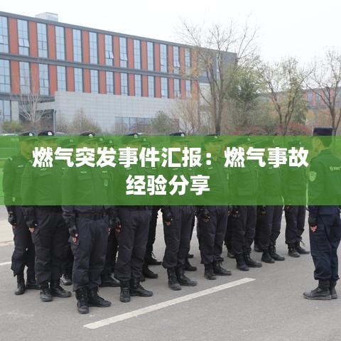 候鸟南飞 第2页