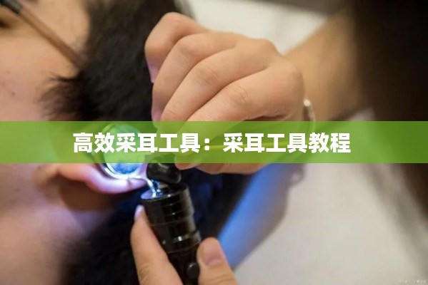 兽聚鸟散 第2页