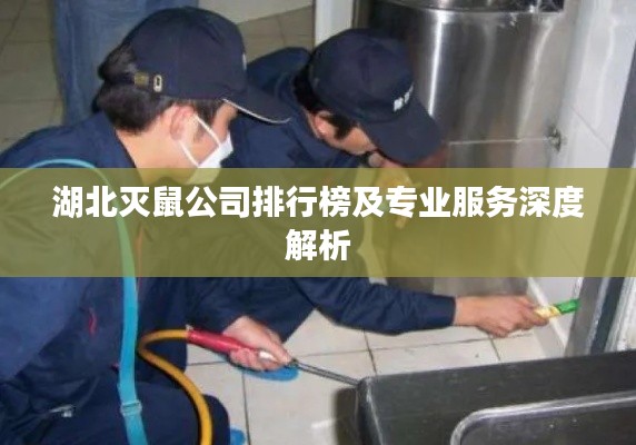 一往无前 第2页