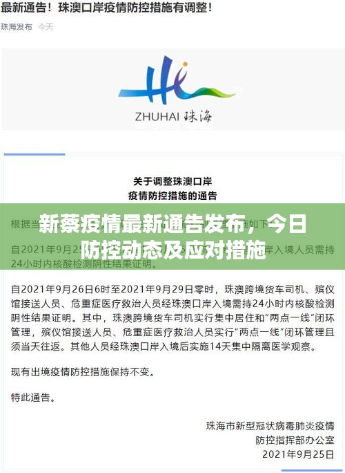 新蔡疫情最新通告发布，今日防控动态及应对措施
