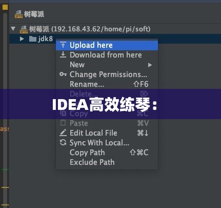 IDEA高效练琴： 