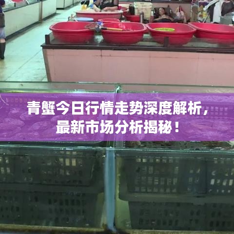 龙飞凤舞 第3页
