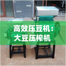 杳无音讯 第2页