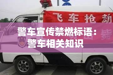 逆风飞扬 第2页