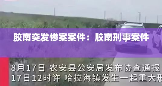 胶南突发惨案案件：胶南刑事案件 