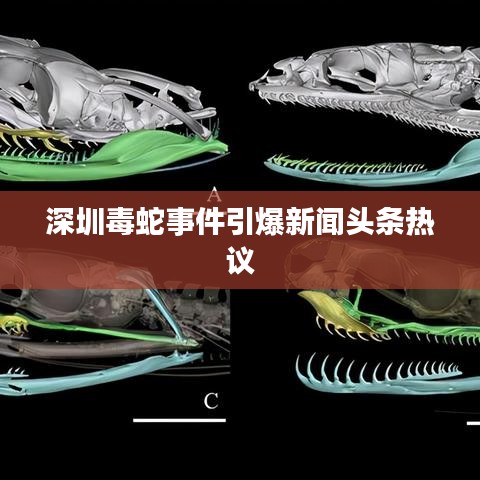 高谈阔论 第2页