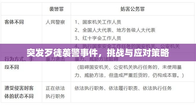 突发歹徒袭警事件，挑战与应对策略