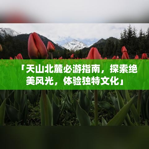 反朴还淳 第2页