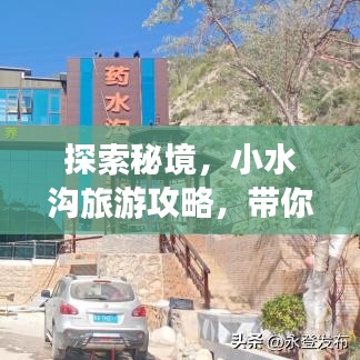 虫言鸟迹 第2页