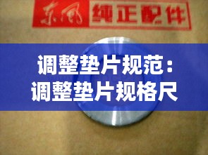 钗荆裙布 第2页