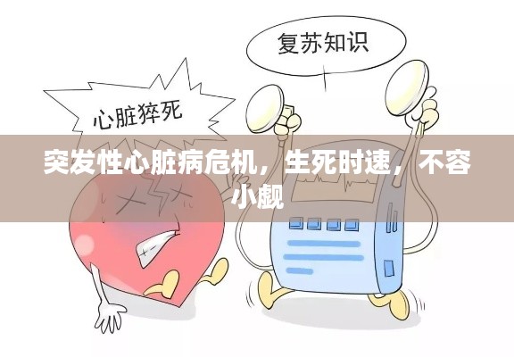 独学寡闻 第2页