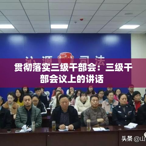 贯彻落实三级干部会：三级干部会议上的讲话 