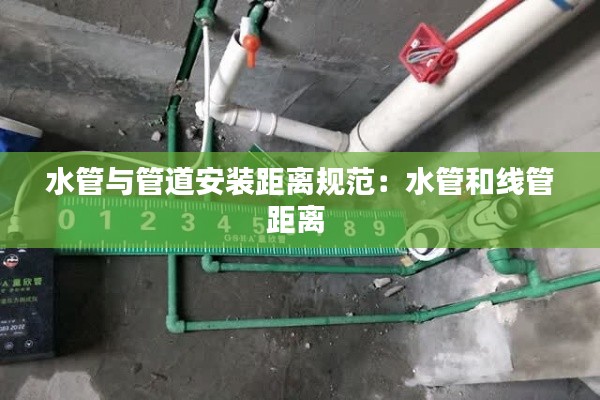 飞扬拨扈 第2页