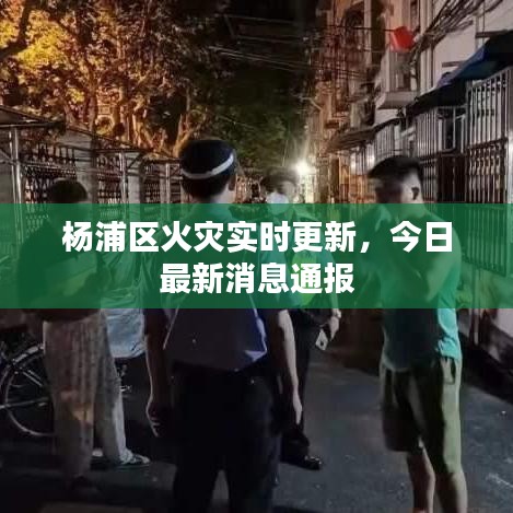 粗制滥造 第2页
