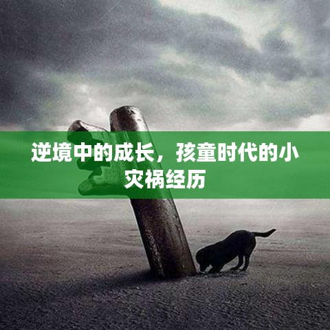 姑射神人 第2页