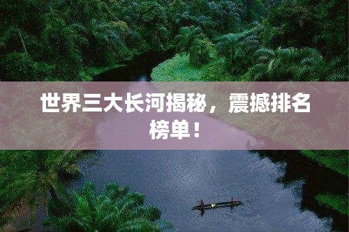 百不得一 第2页