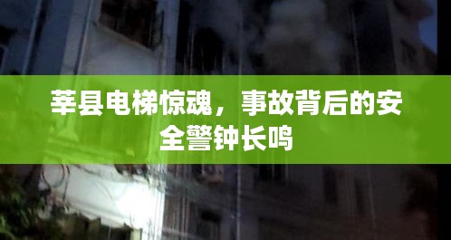 凤毛麟角 第2页