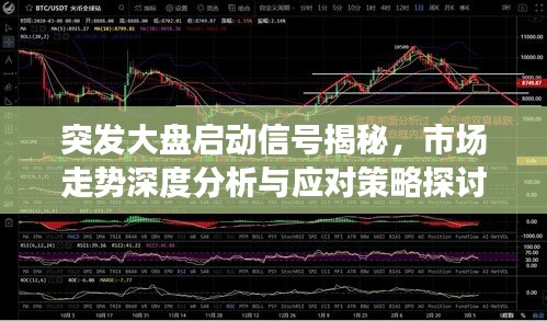 新闻动态 第54页
