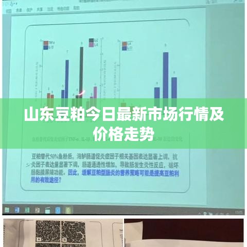 草间求活