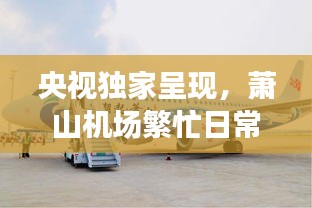 温文尔雅