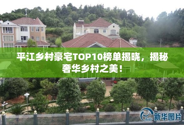 仙姿佚貌