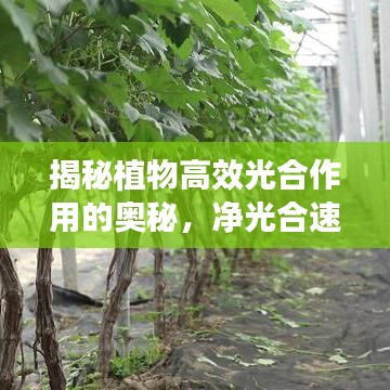 运输网络 第13页