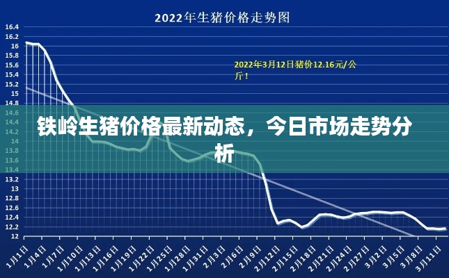 栖鸟于泉
