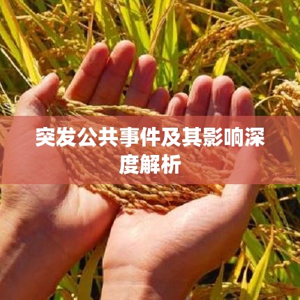 运输网络 第11页