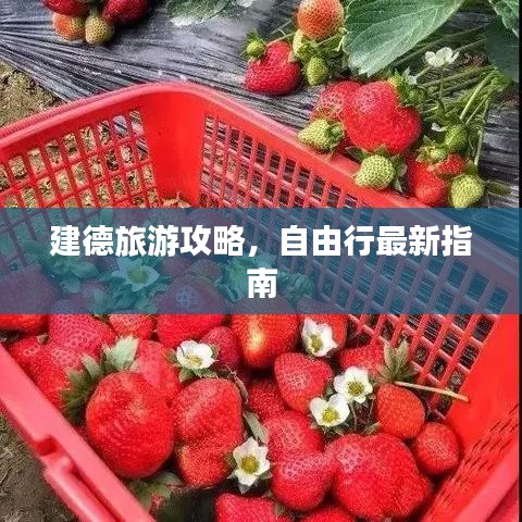 运输网络 第10页